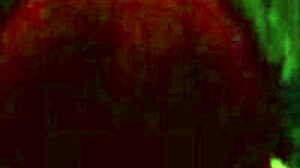 Sex Adventures Unfold in 3D Cartoon Ep 13. Monster Action Awaits!