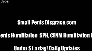 Mistress laughs at your small cock during domination session