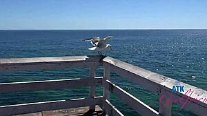 Banging Pornstar Summer Vixen POV with Pussy Eating, Blowjob, and Hard Fucking