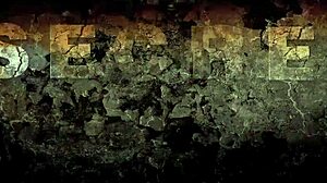 hey, ever read my secret life?