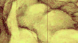 vintage erotic drawings with a sensual retro comic vibe in classic style