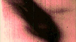 vintage erotic drawings with a sensual retro comic vibe in classic style