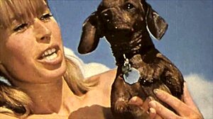 Wow, vintage erotiske bekjennelser løslatt!