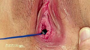 Makoto Shiraishi Returns In Pussy Encyclopedia With Intense Sports Club Action