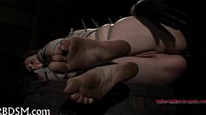 Hey, wanna watch some intense sadomasochism whipping action right now?