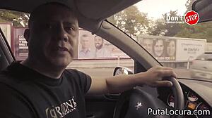 malayia wolf in a hardcore asian scene