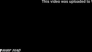 Harptoad - Starfire - Earth Customs