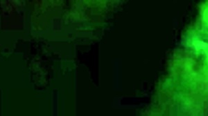 Secret camera captures intimate moment