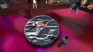 Elite Social Club Hides Wild Secrets