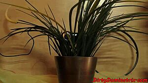 Pretty mistress uses toys to dominate her solo pussy play.