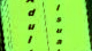 i can't believe my wife and mother-in-law in this anime