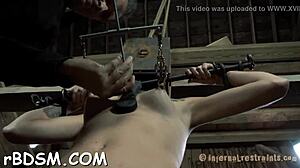 Bound couple dominates shaved pussy with shocking prods and blowjobs 😈