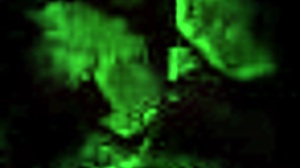 What secrets hide in vintage erotic art?