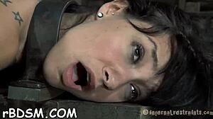 Bound couple dominates shaved pussy with shocking prods and blowjobs 😈