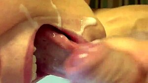 Alineflavio - Update 23 - Vid 20240430 182932 814 Mp4 - May 01 2024