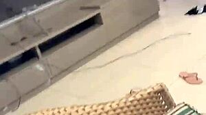 Alineflavio - Update 23 - Vid 20240430 182932 814 Mp4 - May 01 2024