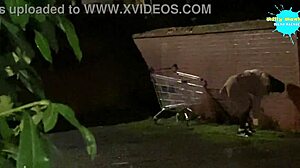 Cracky in her natural habitat