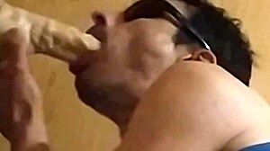 Lionel Hearts Swallows Huge 25cm Toy Solo