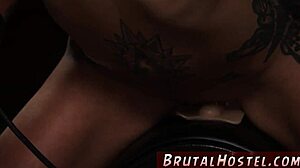 What makes huge tits teen tourists so excited?