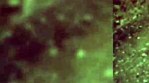 I dunno what’s wrong with my stepcousin, she’s such a rebel now, actin’ like a bitch, I dumped all my semen in her, hope she ain’t pregnant