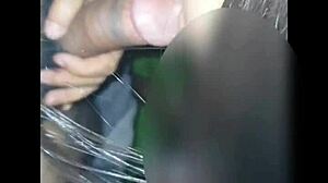 Hey, check out this Indian wife sucking cock like a pro