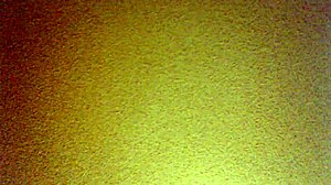 Mexican amateur bent over in doggystyle.