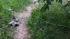 Got caught by strangers in the forest, trans boy barebacks everyone! 🌳