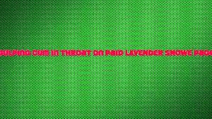 Sloppy FACEFUCK and pussy eating facesit for anime hero! What a CRAZY cumshot!