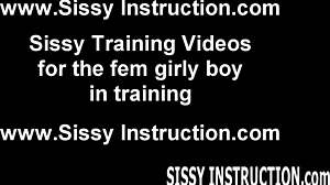 Hammer My Tranny Ass
