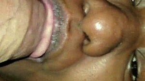 just casual interracial blowjob and titfuck action