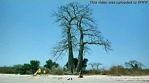 Look At Indian Actress Kitu Gidwani Topless In French Movie Black!