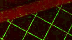 exploring alternate existence in game 66