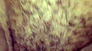 Fucking My Wife in a Quick Intense Session