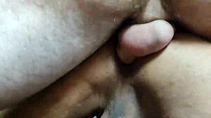 comi meu amigo gringo gay