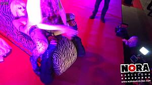 Blonde Pornstar Enjoys Anal Assfucking And Strapon Party