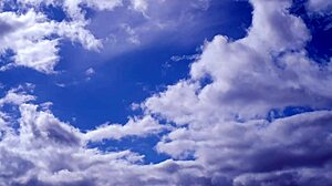 Little Extra Turns Into a Wild Animated Encounter