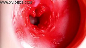 This stunning redhead's pussy grips my cock tight with every thrust. Camera captures every pulsing detail inside!