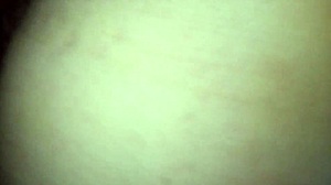 Licking my wife's tasty pussy!