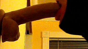 Gay Guy Deepthroats Dildo In Hood.