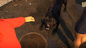 wvm 127 film stars gather for an animated showcase