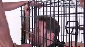 Horny homo Landon Kovak raw ramming delicious Sean Storm in rough bareback action, sucking and rimming his monster cock