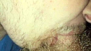 he sucked me off in gay encounter