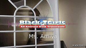 black tgirl ms amiya, wanna see me strip for you?