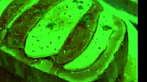 hey babe, wanna blur the walls with my exhibitionist gf in hentai game ep 4?