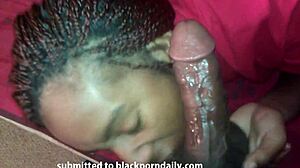 Homemade blowjob submission with ebony sucking and swallowing
