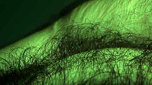 Louivmane offers a hairy gay bear body tour in this solo compilation.