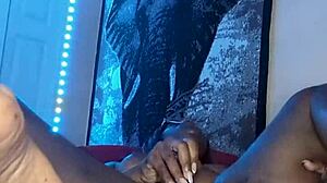 Ebony Beauty's Wet Pussy Toys and Double Penetration Adventure.