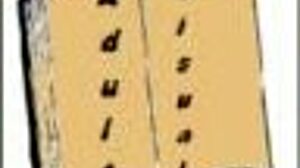 a wife and her stepmother enjoy a homemade game together