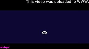 ps2 game with asian anime hentai vibes