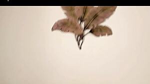 the thick pawg gets pounded by monster cock in gay hentai anime with cum in mouth and wet ass.